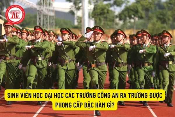  Sinh viên học Đại học các trường Công an ra trường được phong cấp bậc hàm gì?