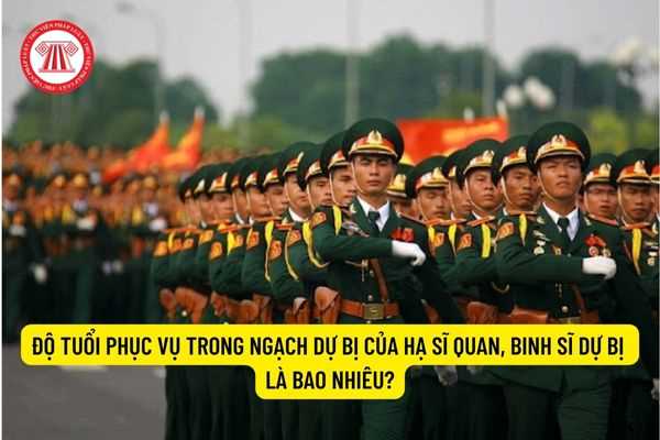 Độ tuổi phục vụ trong ngạch dự bị của hạ sĩ quan, binh sĩ dự bị là bao nhiêu?