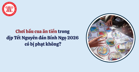 Chơi bầu cua ăn tiền trong dịp Tết Nguyên đán Bính Ngọ 2026 có bị phạt không?