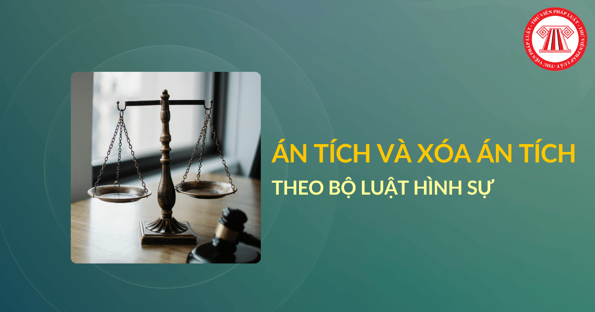 Bài Viết Bản Án