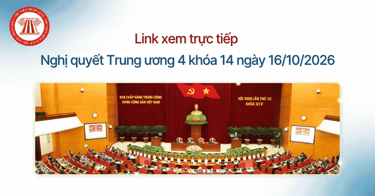 Bài Viết Bản Án