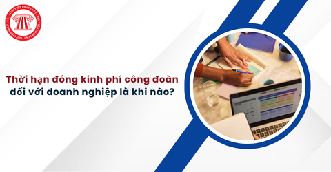 Bài Viết Bản Án