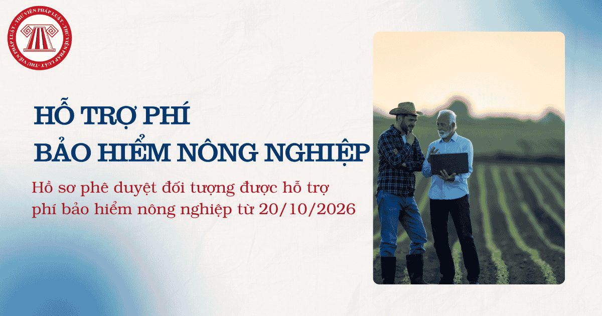 Bài Viết Bản Án