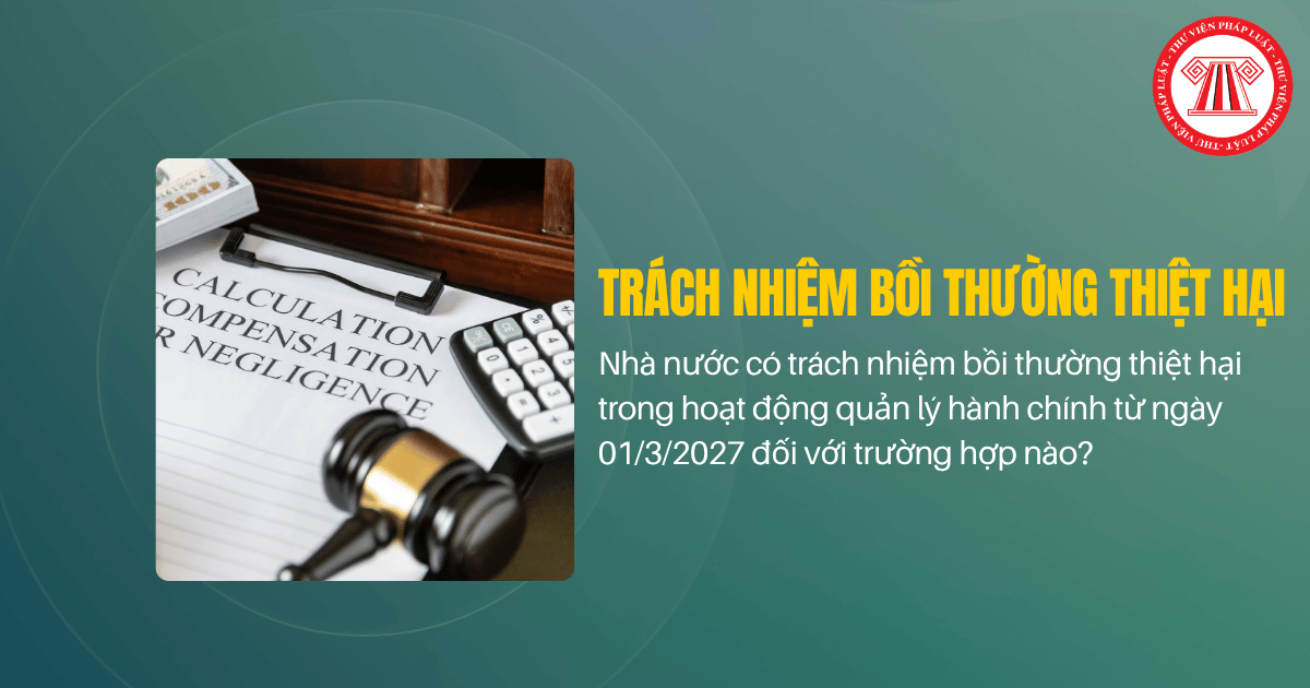 Bài Viết Bản Án