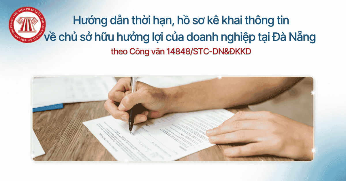 Bài Viết Bản Án