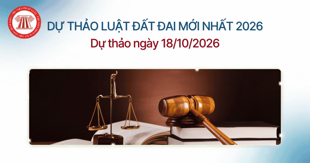 Bài Viết Bản Án
