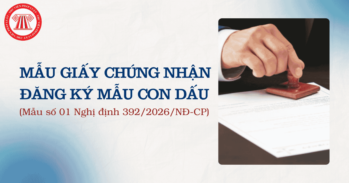 Bài Viết Bản Án