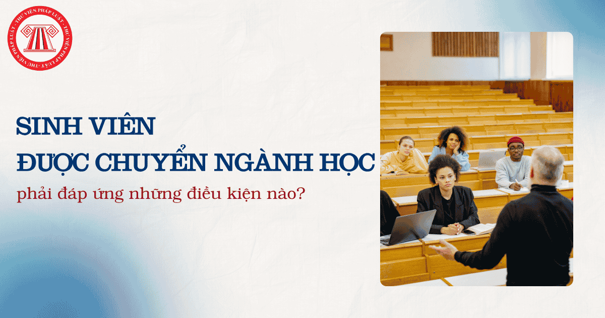 Bài Viết Bản Án