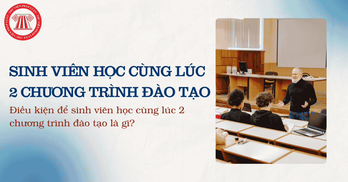 Bài Viết Bản Án
