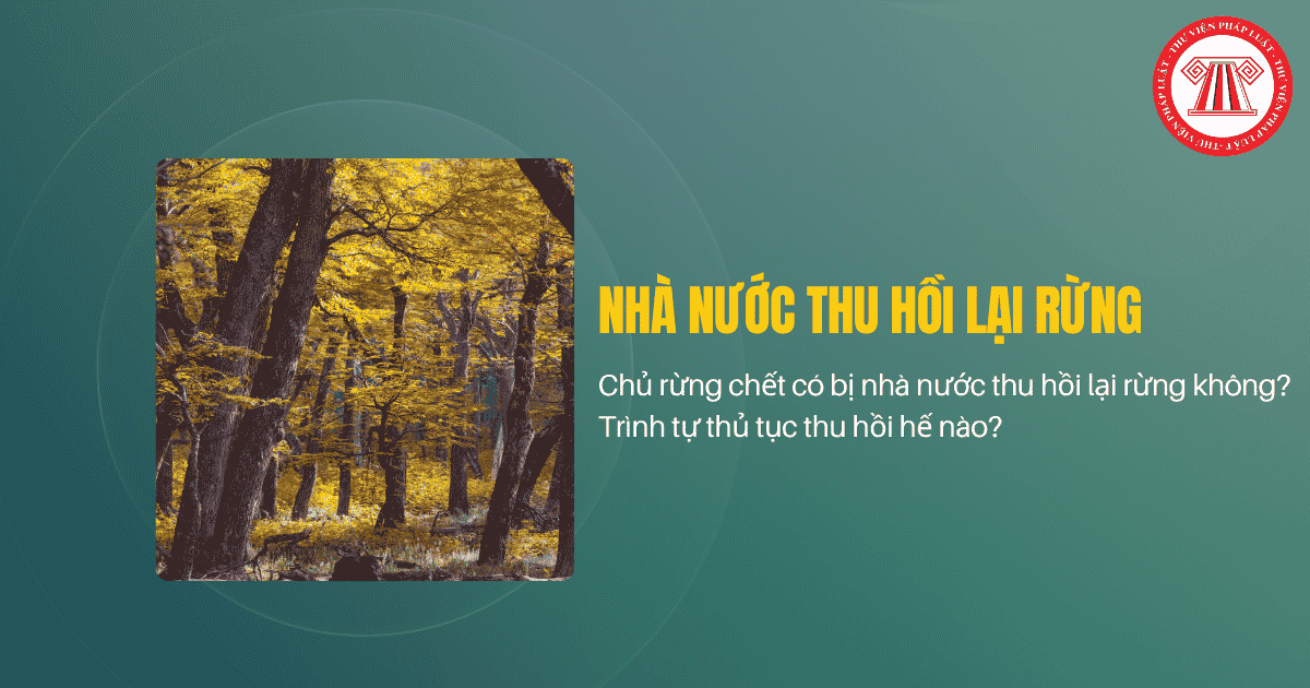 Bài Viết Bản Án