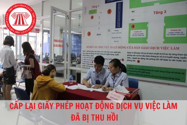 Giấy phép hoạt động dịch vụ việc làm bị thu hồi có được cấp lại không?