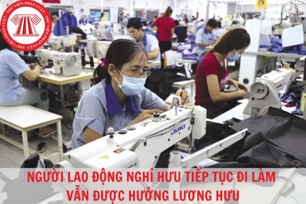 Hỏi đáp Pháp luật