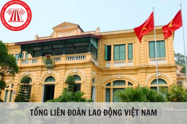 Tổng Liên đoàn lao động Việt Nam thuộc cơ quan nào?