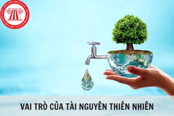 Vai trò của các loại tài nguyên thiên nhiên là gì? 