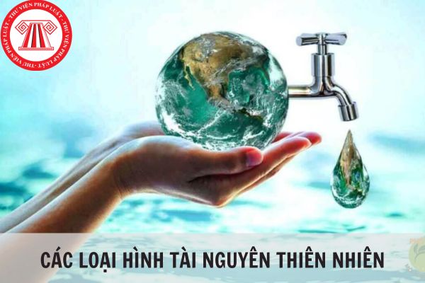 Các loại tài nguyên thiên nhiên ở Việt Nam hiện nay gồm những gì?