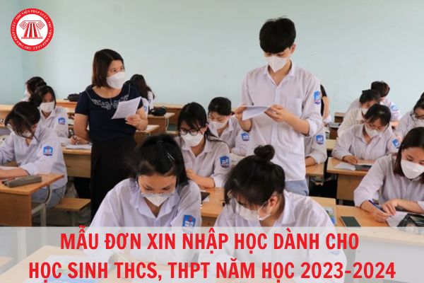 Mẫu đơn xin nhập học dành cho học sinh THCS, THPT năm học 2023 - 2024?