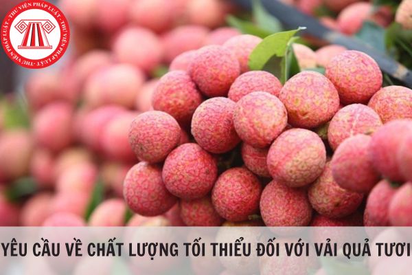 Yêu cầu chất lượng tối thiểu của vải quả tươi theo Tiêu chuẩn quốc gia TCVN 9767:2013?