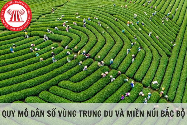 Quy mô dân số của các tỉnh thuộc vùng trung du và miền núi Bắc Bộ là bao nhiêu?