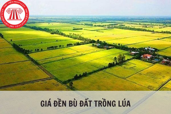 Giá đền bù đất trồng lúa hiện nay là bao nhiêu?