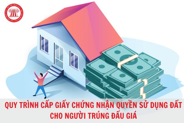 Quy trình cấp giấy chứng nhận quyền sử dụng đất cho người trúng đấu giá?