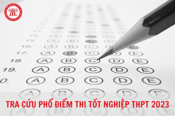 Tra cứu phổ điểm thi tốt nghiệp THPT quốc gia 2023?