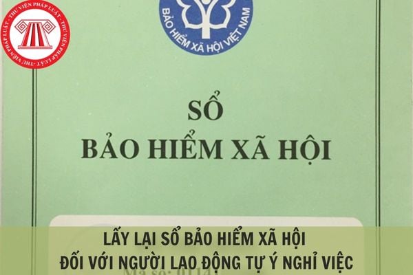 Hỏi đáp Pháp luật