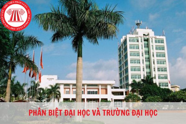 Phân biệt trường đại học và đại học như thế nào?