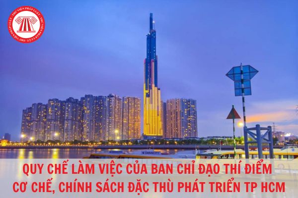 Quy chế làm việc của Ban chỉ đạo thí điểm một số cơ chế, chính sách đặc thù phát triển thành phố Hồ Chí Minh?