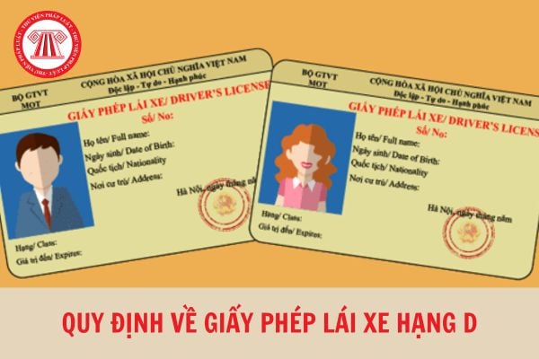 Giấy phép lái xe hạng D có lái được xe tải không? Độ tuổi và điều kiện học là gì?