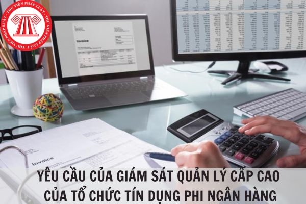 Yêu cầu đối với giám sát của quản lý cấp cao trong tổ chức tín dụng phi ngân hàng?