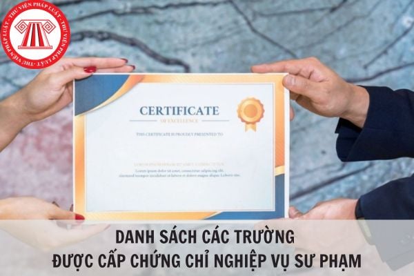 Danh sách các trường được cấp chứng chỉ nghiệp vụ sư phạm mới nhất hiện nay?