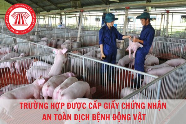 Đối tượng nào được cấp Giấy chứng nhận an toàn dịch bệnh động vật?