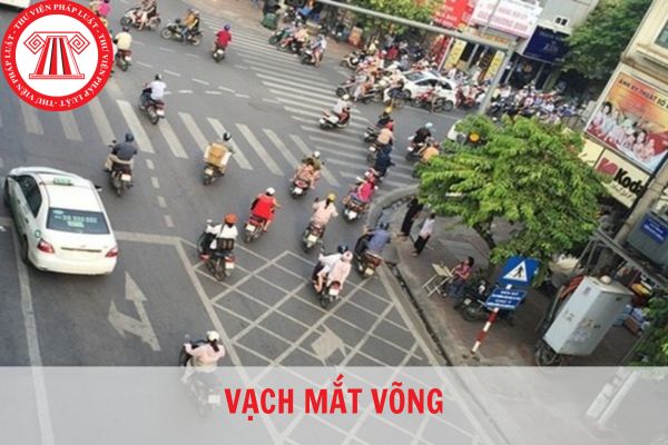 Vạch mắt võng là gì? Đi trên đường gặp vạch kẻ mắt võng thì đi như thế nào?