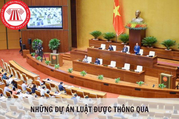 Quốc hội đã thông qua những dự án luật nào trong kỳ họp Quốc hội lần thứ 6?