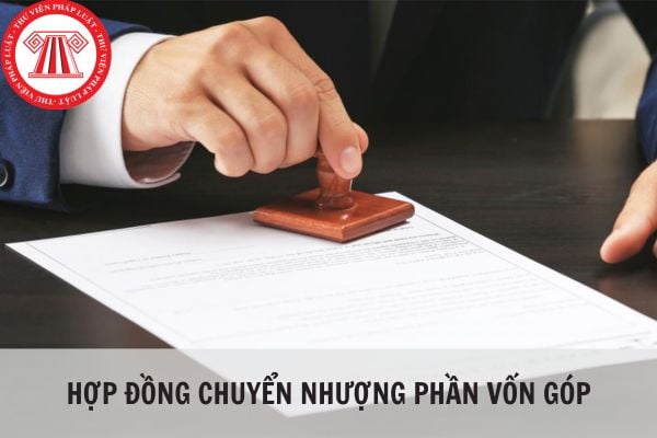 Hợp đồng chuyển nhượng phần vốn góp chuẩn, mới nhất 2024?