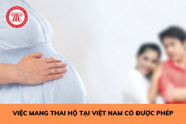 Việc mang thai hộ tại Việt Nam có được phép hay không? 