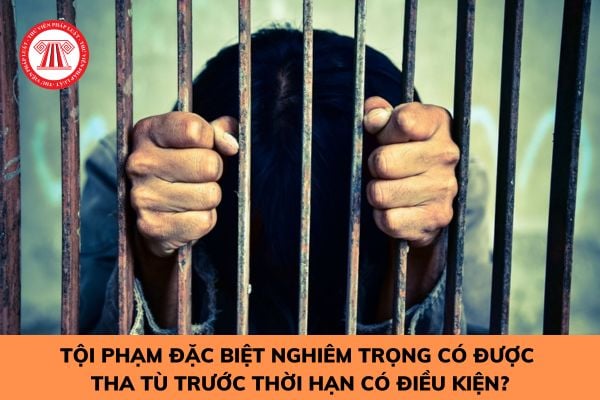 Tội phạm đặc biệt nghiêm trọng có được tha tù trước thời hạn có điều kiện?