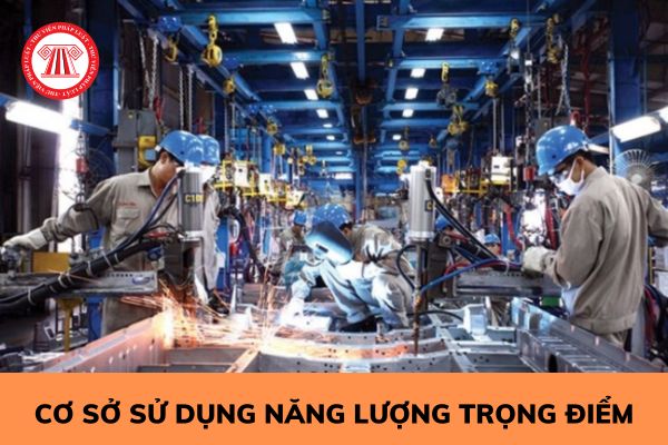 Tổ chức kiểm toán năng lượng tại cơ sở sử dụng năng lượng trọng điểm cần đáp ứng các điều kiện gì?