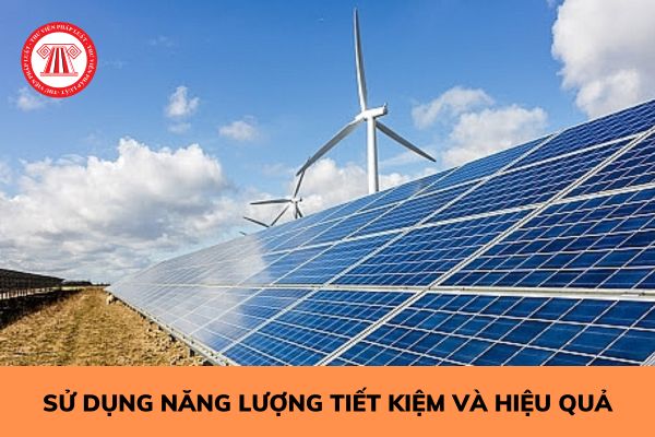 Các hành vi nào bị cấm trong sử dụng năng lượng tiết kiệm và hiệu quả?