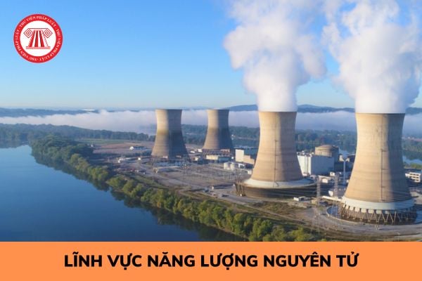 Những hành vi nào bị nghiêm cấm trong lĩnh vực năng lượng nguyên tử?