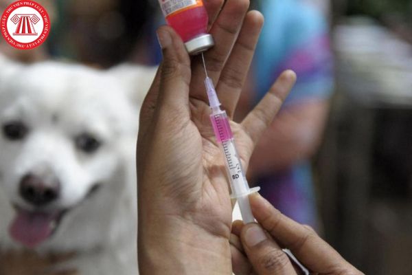 Vào tháng nào thì Ủy ban nhân dân tỉnh phát động tháng cao điểm tiêm phòng vắc-xin Dại cho chó?