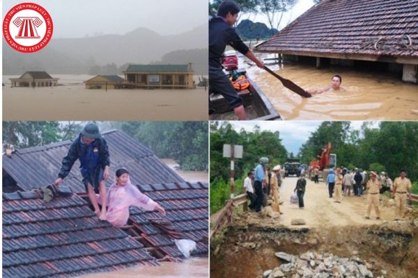 Việc phòng, chống, ứng phó thiên tai trên địa bàn Thành phố Hồ Chí Minh có những lực lượng nào?