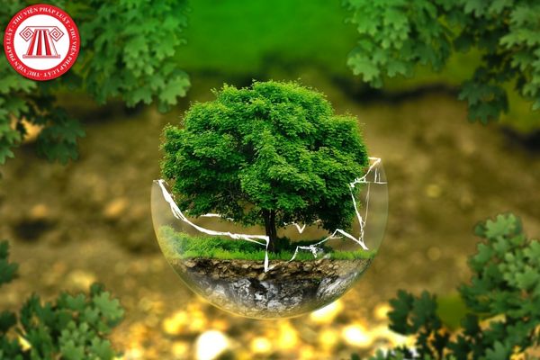 Phục hồi môi trường sau sự cố môi trường được thực hiện ra sao?