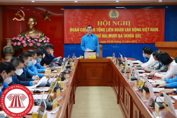 Tiêu chuẩn về năng lực công tác của Phó Chủ tịch Tổng Liên đoàn Lao động Việt Nam như thế nào?