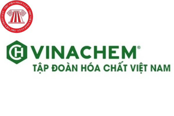 Các tiêu chuẩn và điều kiện mà người được bổ nhiệm làm Tổng giám đốc Tập đoàn Hóa chất Việt Nam phải đáp ứng?