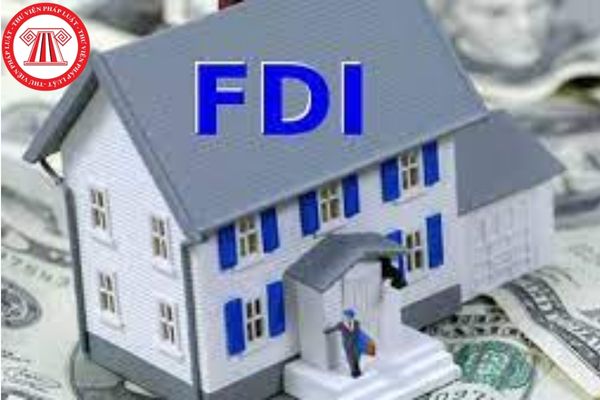 Doanh nghiệp có vốn đầu tư nước ngoài (FDI) có bắt buộc phải kiểm toán báo cáo tài chính hằng năm không?