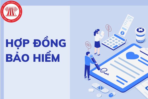 Hiện nay có bao nhiêu loại hợp đồng bảo hiểm?