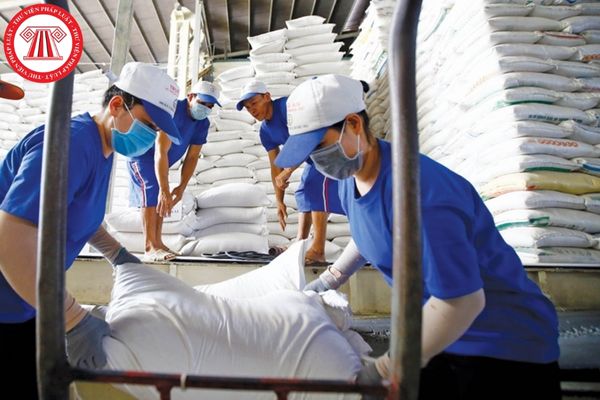 Thương nhân kinh doanh xuất khẩu gạo cần đáp ứng điều kiện gì?