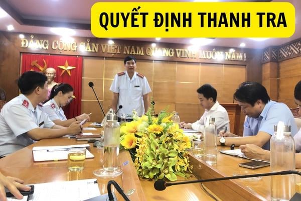 Quyết định thanh tra được thành lập sẽ được dựa trên những căn cứ nào?