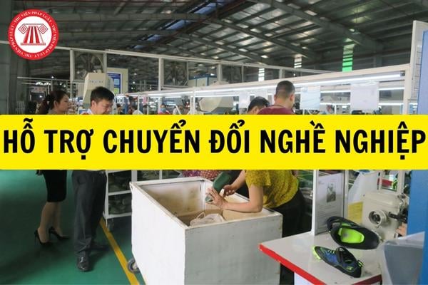 Người lao động muốn được hỗ trợ chuyển đổi nghề nghiệp phải bị suy giảm khả năng lao động bao nhiêu %?